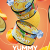 YUMMY Fruit Ice Cream (Ямми Фруктовое мороженое)