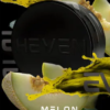 Melon