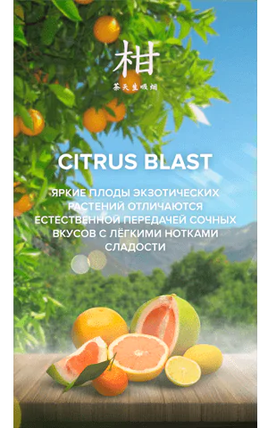 https://darkhydra.shop/wp-content/uploads/2019/09/4-20-hookah-tea-1.png
