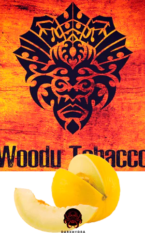 https://darkhydra.shop/wp-content/uploads/2019/09/voodu-logo-1.png