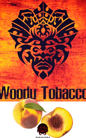 https://darkhydra.shop/wp-content/uploads/2019/09/voodu-logo-1.png