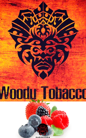 https://darkhydra.shop/wp-content/uploads/2019/09/voodu-logo-1.png