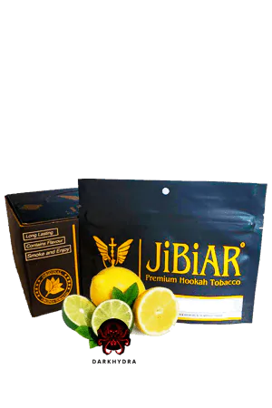 https://darkhydra.shop/wp-content/uploads/2019/10/jibiar-logo-1.png