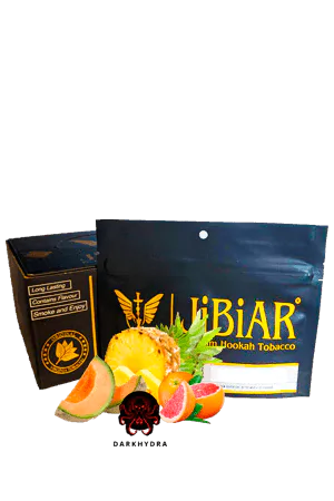 https://darkhydra.shop/wp-content/uploads/2019/10/jibiar-logo-1.png