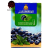 https://darkhydra.shop/wp-content/uploads/2020/05/al-fakher-logo-1.png