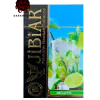 https://darkhydra.shop/wp-content/uploads/2019/10/jibiar-logo-1.png