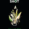 https://darkhydra.shop/wp-content/uploads/2020/11/shot-logo-1.png