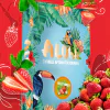 https://darkhydra.shop/wp-content/uploads/2021/01/aloha-logo-1.png