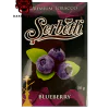https://darkhydra.shop/wp-content/uploads/2018/02/SERBETLI.png