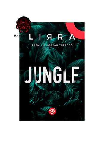 https://darkhydra.shop/wp-content/uploads/2021/05/logo-1.png