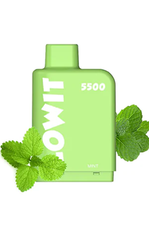 Картридж ELF BAR LOWIT 5500 Mint (Мята)