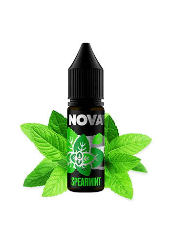 Chaser Nova Spearmint (Чейзер Нова Перечная Мята)