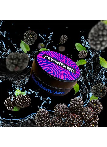 PlanetHaze Blackberry Jam (ПланетХейз Ежевичный Джем) 100 грамм