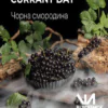 BLACKSMOK Currant Day