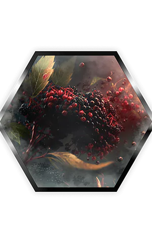 Табак для кальяна Palladium Elderberry (Паладиум Бузина125 грамм)